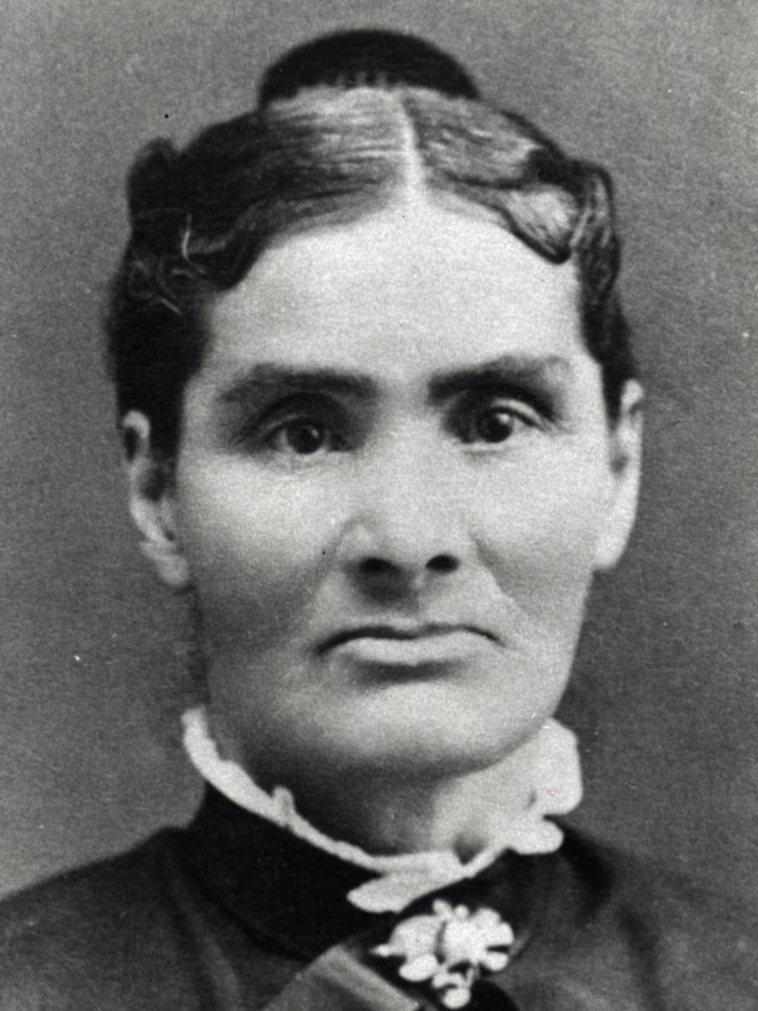 Sarah Ann Hollister (1827 - 1913) Profile